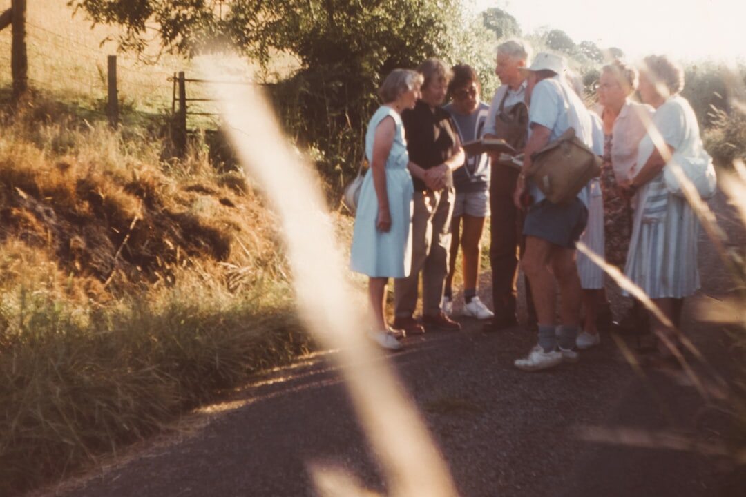 Seniors on a group excursion admiring nature