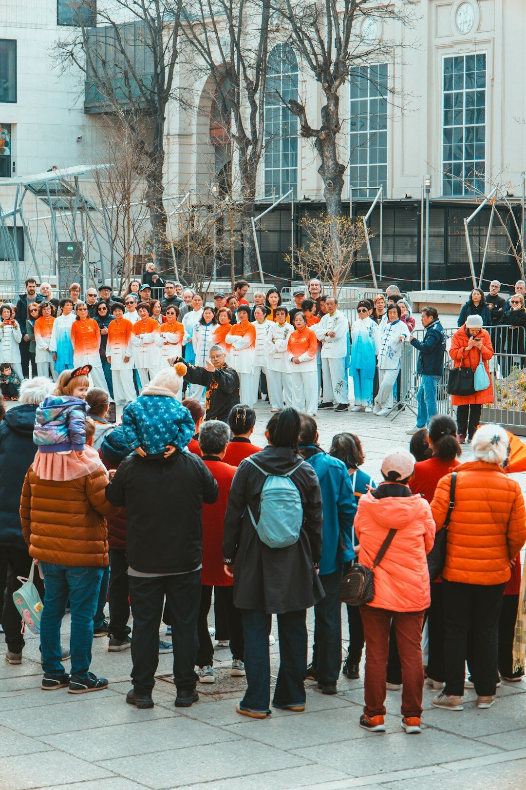 Large group of seniors gathered together outdoors for a community event